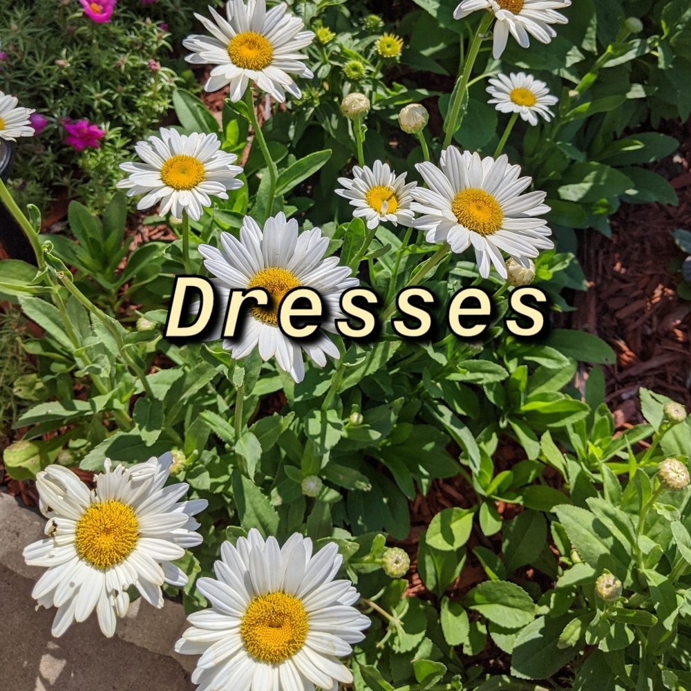 Dresses